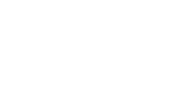 Major Wellness Health API dashboard